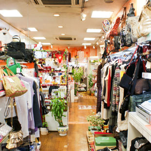 （有）木村屋化粧品店の写真